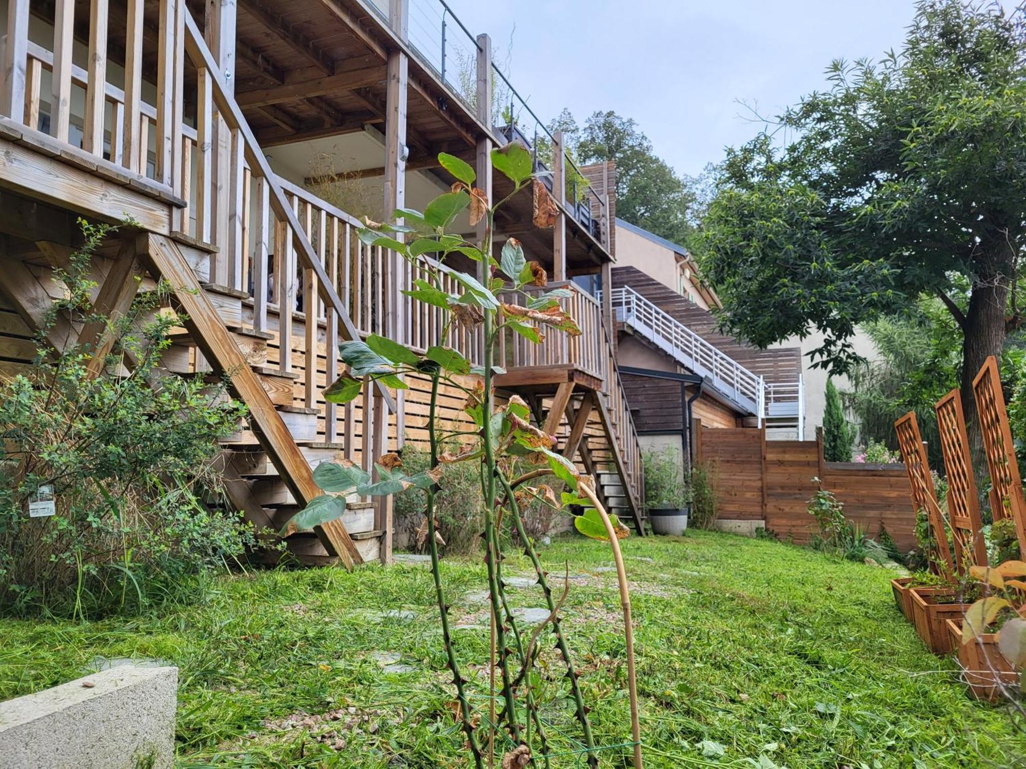 Le Bellevue - Beaux Appartements Avec Vue Splendide 帕莱索 外观 照片